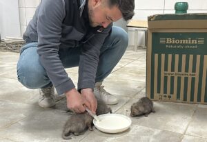 AKSARAY (AA) – Aksaray'ın Eskil ilçesinde çiftçi Sebahattin Uğur, saman