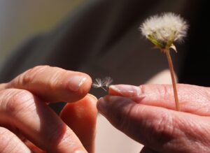 ANKARA (AA) – FATMA SEVİNÇ ÇETİN – Çevre, Şehircilik ve