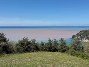 BARTIN (AA) – Batı Karadeniz'in önemli turizm merkezlerinden Bartın'ın İnkumu