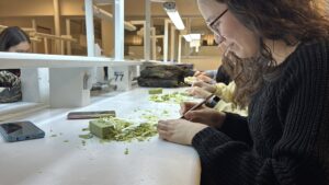 BOLU (AA) – Bolu'da lise son sınıf öğrencileri, üniversite ortamını