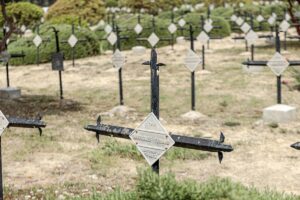 ÇANAKKALE (AA) – Çanakkale Kara Savaşları'nın 110. yılı anma etkinlikleri