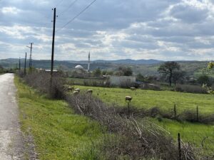 ÇANAKKALE (AA) – Çanakkale'nin Çan ilçesinde şap hastalığı şüphesiyle bir