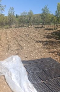 DİYARBAKIR (AA) – Diyarbakır'ın Lice ilçesinde düzenlenen operasyonda 18 bin