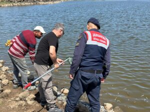 DİYARBAKIR (AA) – Diyarbakır'ın Çınar ilçesinde hayvan sulama göletindeki balık