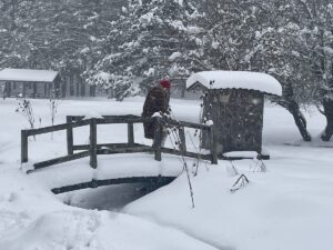 BOLU/DÜZCE (AA) – Bolu'nun doğal güzellikleriyle ünlü Abant Gölü Milli