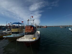 DÜZCE (AA) – Batı Karadeniz'in önemli limanlarından Düzce Akçakoca'da bereketli