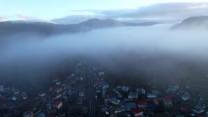 ERZURUM (AA) – Erzurum'daki sarıçam ormanlarının bir kısmı, sağanak sonrası