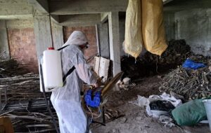 ORDU (AA) – GÜLTEKİN YETGİN / HAYATİ AKÇAY – Fındık