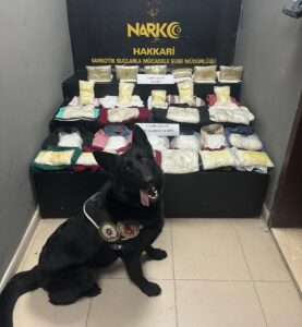 HAKKARİ (AA) – Hakkari'de bir otomobilin yakıt deposuna gizlenmiş 17