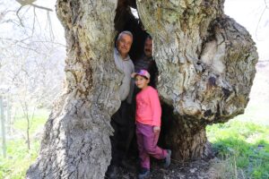 HAKKARİ (AA) – Hakkari'nin Durankaya beldesinde kovuğuna yaklaşık 10 kişinin