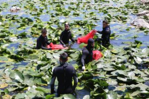 HATAY (AA) – Tarım ve Orman Bakanlığı Doğa Koruma ve