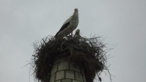 GAZİANTEP (AA) – Kahramanmaraş merkezli depremlerde hasar gören Gaziantep'in İslahiye