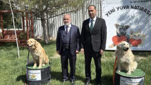 - "Sahipsiz hayvanların vatandaşlarımıza eziyet vermesine, yaralamasına hatta maalesef öldürmelerine