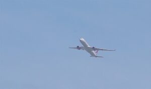 DİYARBAKIR (AA) – İngiltere'nin başkenti Londra'dan Hindistan'a giderken bir yolcunun