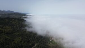 KASTAMONU (AA) – Kastamonu'nun Karadeniz sahilindeki ilçesi Abana'da etkili olan