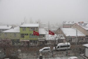 BİNGÖL (AA) – Bingöl'ün Karlıova ilçesinde kar yağışı etkili oldu.