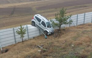 KARS (AA) – Kars'ın Sarıkamış ilçesinde, kontrolden çıkarak yol kenarındaki