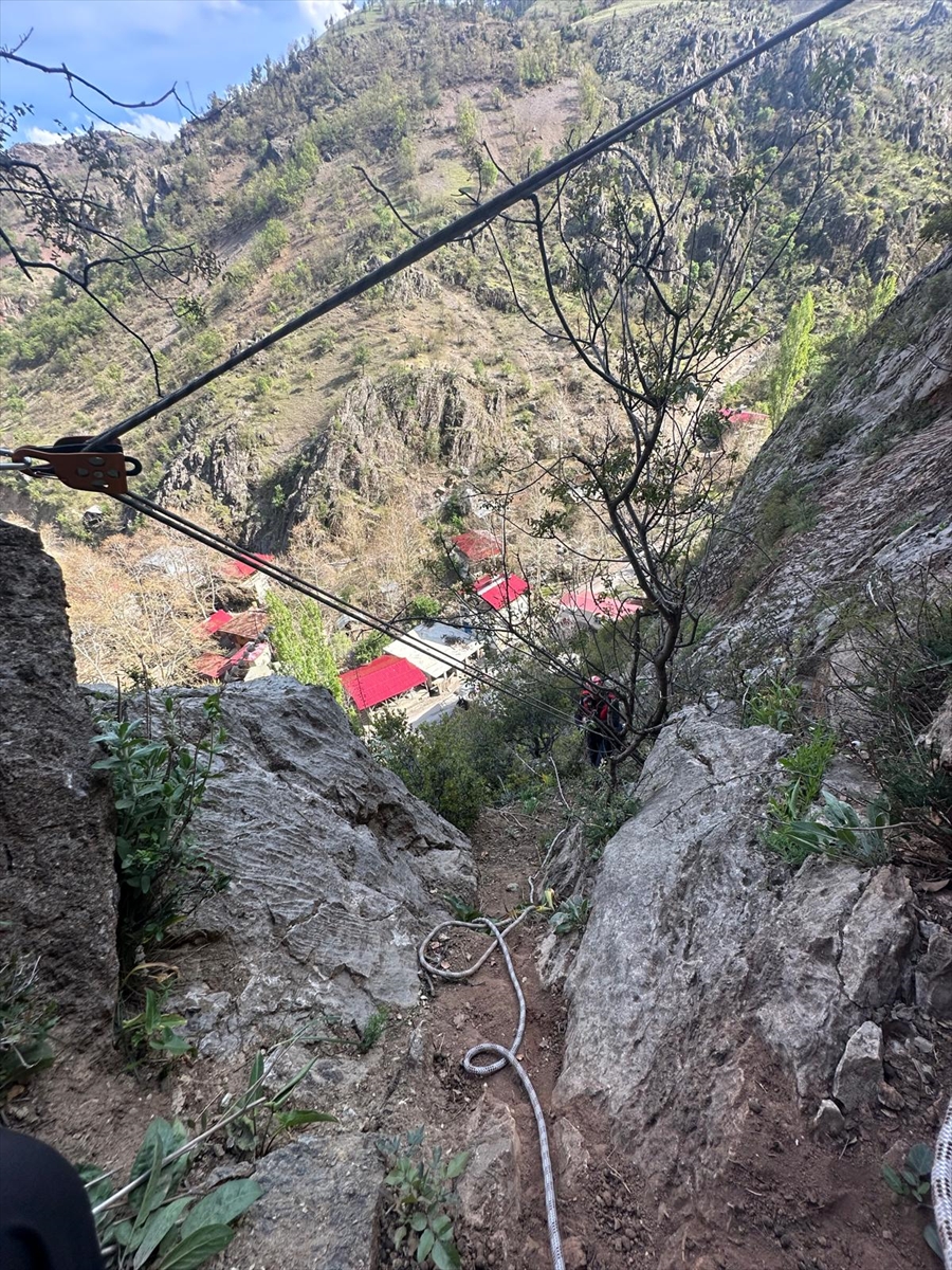 Kayseri'de kayalıklarda mahsur kalan keçiler kurtarıldı