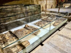 ASTANA (AA) – MEİRAMGÜL KUSSAİNOVA – Kazakistan Milli Müzesi, sergilenen