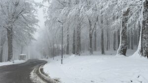 SAKARYA (AA) – Sakarya, Kocaeli, Bolu, Düzce ve Karabük'ün yüksek