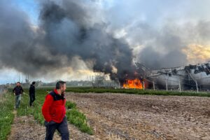KONYA (AA) – Konya'nın merkez Meram ilçesindeki bir tavuk çiftliğinde