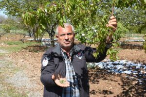 MALATYA (AA) – Malatya Valisi Seddar Yavuz, kentte zirai don