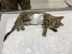 MANİSA (AA) – Manisa'nın Alaşehir ilçesinde yaşayan İbrahim Aydın, iş