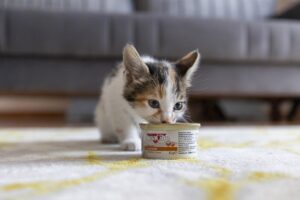 MERSİN (AA) – Mersin'de bir camide vaaz kürsüsünün altında doğum