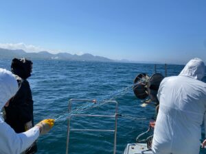 ORDU (AA) – Ordu'da denize kaçak serilen 500 metrelik kalkan