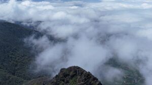 ORDU (AA) – Ordu'nun Altınordu ilçesinde siste güzel manzaralar ortaya