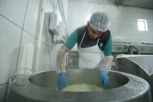 KARS (AA) – CÜNEYT ÇELİK – Hayvancılığın yaygın yapıldığı ve