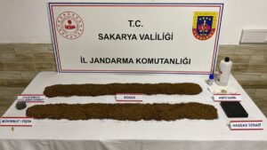 SAKARYA (AA) – Sakarya'da düzenlenen uyuşturucu operasyonunda 2 zanlı tutuklandı.