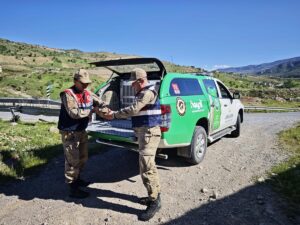 SİİRT (AA) – Siirt'te yaralı halde bulunan kızıl şahin tedavi