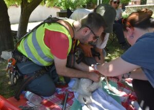 SİNOP (AA) – GÖKHAN GÜÇÜKLÜOĞLU – Sinop'ta yürütülen leylek popülasyonunun