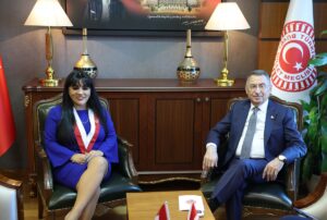 TBMM (AA) – TBMM Dışişleri Komisyonu Başkanı ve AK Parti