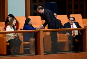 TBMM (AA) – TBMM Genel Kurulu, Meclis Başkanvekili Gülizar Biçer