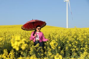 TEKİRDAĞ (AA) – Tekirdağ, çiçek açan kanola bitkisiyle sarıya bürünen