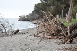 SAMSUN (AA) – Samsun'un Terme ilçesinde etkili olan kıyı erozyonu,