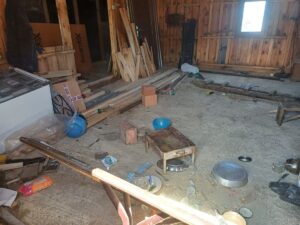 TRABZON (AA) – Trabzon'un Maçka ilçesinde yiyecek arayan ayılar, 7