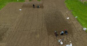 TRABZON (AA) – Trabzon'un Tonya ilçesine bağlı Kalınçam Mahallesi'nde çiftçiler,