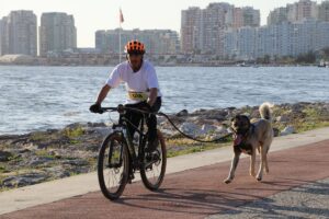 İZMİR (AA) – Spor müsabakasına gittiği sırada Denizli'deki trafik kazasında