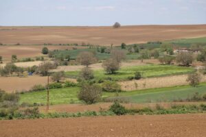 TEKİRDAĞ (AA) – Trakya'da iklim değişikliğinin etkisiyle artan böcek popülasyonu,