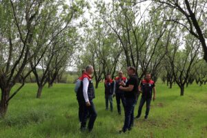 EDİRNE (AA) – Edirne, Kırklareli ve Tekirdağ'da, zirai donun etkilediği