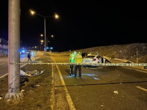 VAN (AA) – Van'ın Muradiye ilçesinde tabela direğine çarpan otomobildeki