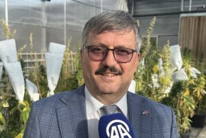 YOZGAT (AA) – Yozgat Bozok Üniversitesi'nde yerli kenevir tohumu çeşitleri