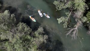 KAYSERİ (AA) – Kayseri'de, 19 Mayıs Atatürk'ü Anma, Gençlik ve