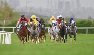 ANKARA (AA) – At yarışlarında 63. Türkiye Büyük Millet Meclisi