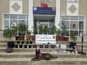 ADANA (AA) – Adana'da evlerine kurdukları iklimlendirme sistemiyle kenevir yetiştirdikleri