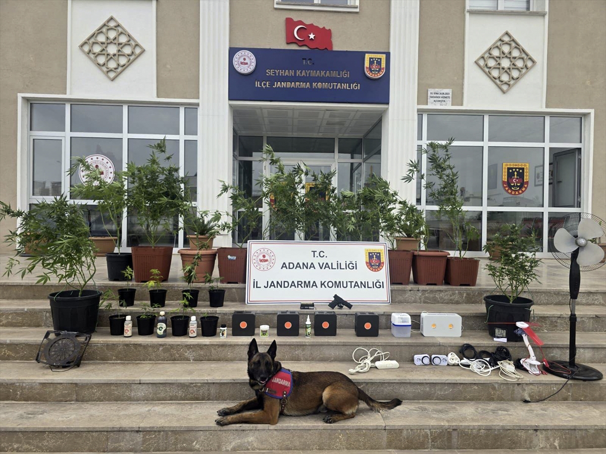 Adana'da evlerinde iklimlendirme sistemiyle kenevir yetiştiren 4 şüpheli yakalandı