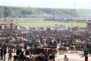 AĞRI (AA) – Türkiye'nin önemli hayvancılık merkezlerinden Ağrı'daki hayvan borsasında